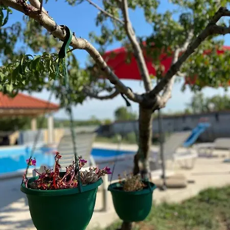 Private Miletić Casa vacanze *